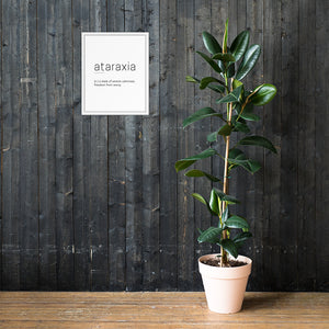Ataraxia - Framed poster