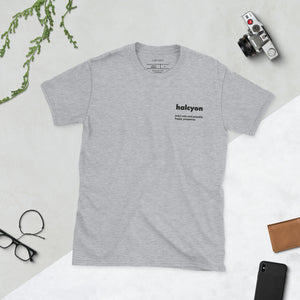 Unisex embroidered T-shirt, word embroidery